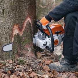 Motosierra STIHL MS 271 C-BE 325" RM 45 cm