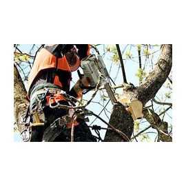 Motosierra STIHL MS 194 T 3/8" PMM3 30 cm