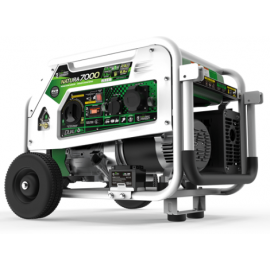 Generador Genergy gasolina y propano Natura 7000 E-Star 7000W 230V arranque eléctrico