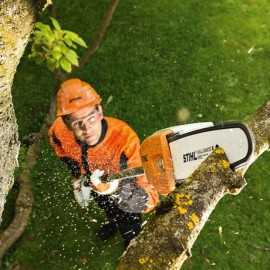 Podadora de Altura STIHL HTA 65 1/4" PM3 30 cm Sin Batería Ni Cargador