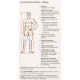 Chaqueta Advance X-VENT Stihl