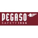 Pegaso